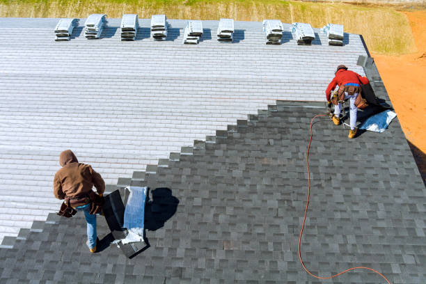 Best Roof Maintenance and Cleaning  in Rockford, MI