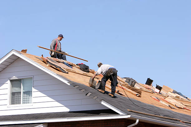 Best Roof Installation  in Rockford, MI