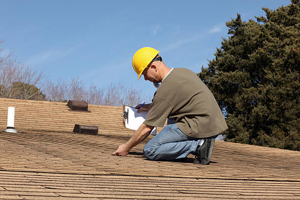 Best Roof Insulation Installation  in Rockford, MI