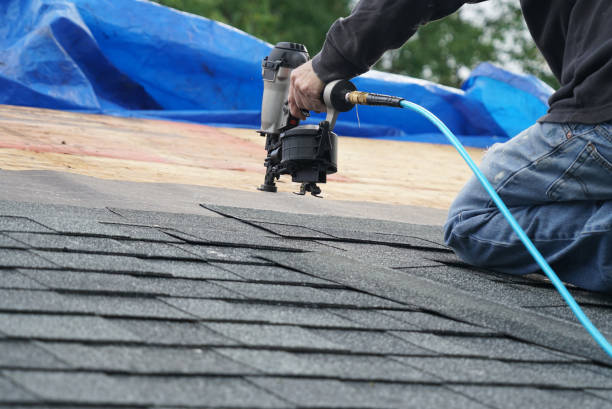 Best Roof Leak Repair  in Rockford, MI